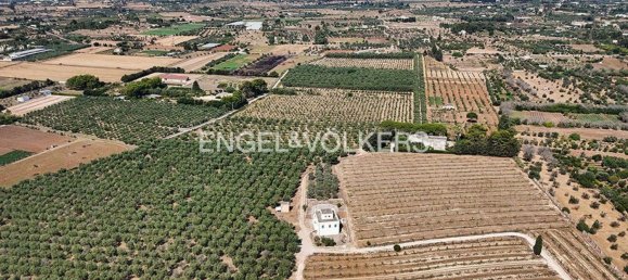 7-Zimmer Haus in Alezio, Italy, Nr. 275349 4