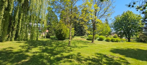 5-Zimmer Haus in Brand-Laaben, Austria, Nr. 161177 4