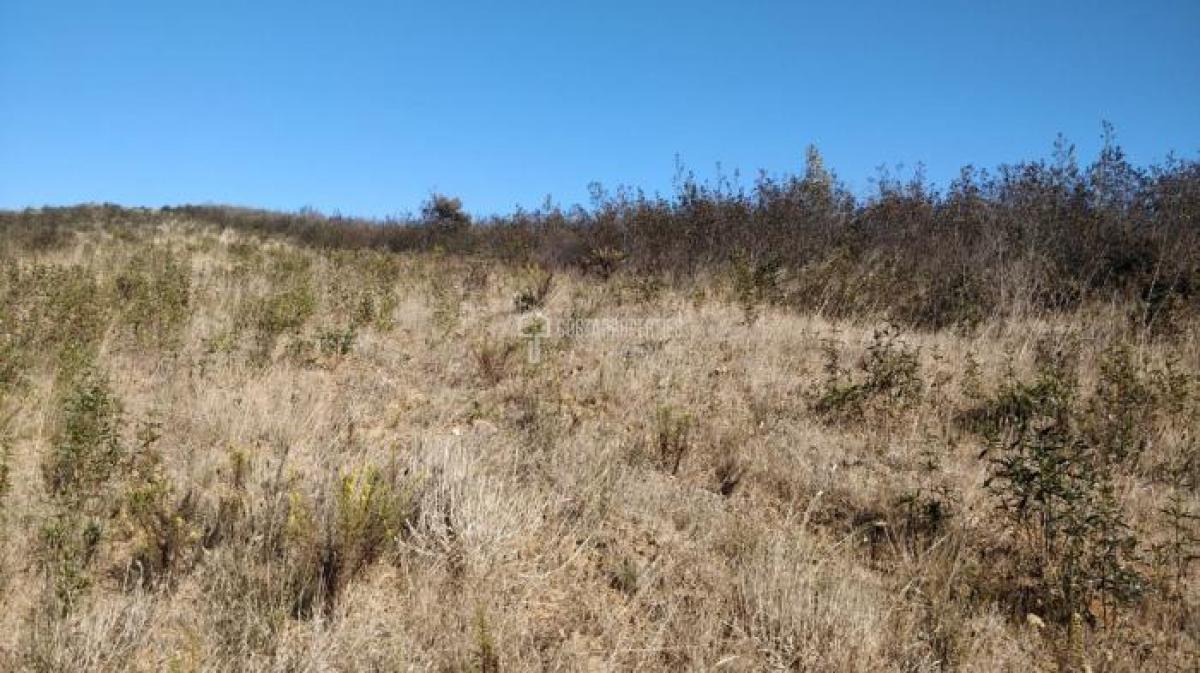 Terrain à Vila do Bispo, Portugal No. 8676