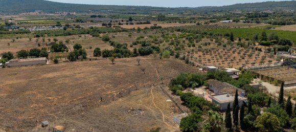 11 bedrooms House in Santa Maria Del Cami, Spain No. 185920 31