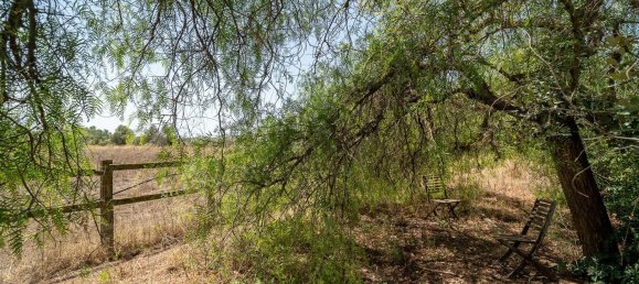 11 bedrooms House in Santa Maria Del Cami, Spain No. 185920 26