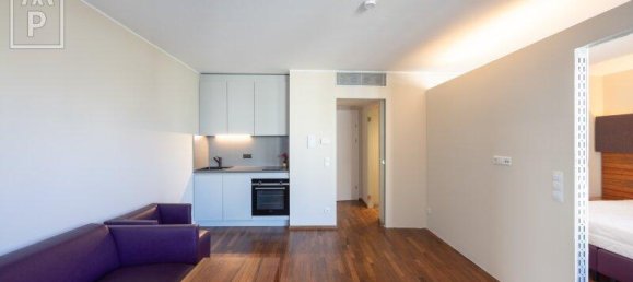 2 rooms Penthouse in Wieden, Austria No. 188078 2