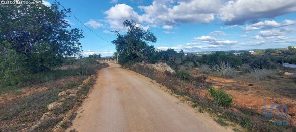 33520m² Land in Silves, Portugal No. 124110 9