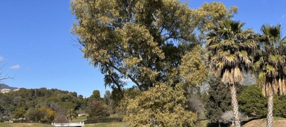 Таунхаус с 4 спальнями в Эстепона, Испания № 176187 9