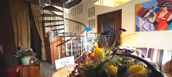 16 rooms Villa in Pescara, Italy No. 129505 11