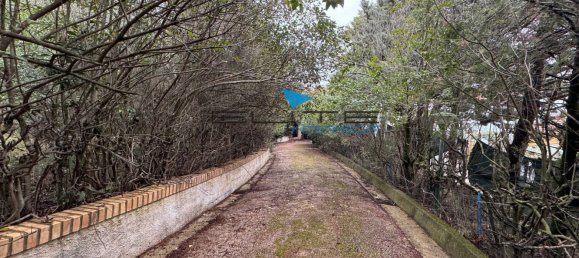 16 rooms Villa in Pescara, Italy No. 129505 31