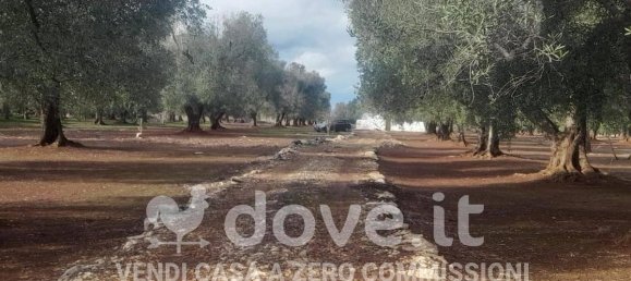 3 rooms House in Francavilla Fontana, Italy No. 26344 11