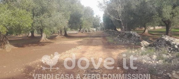 3 rooms House in Francavilla Fontana, Italy No. 26344 9