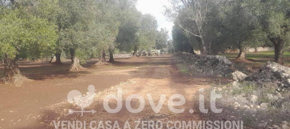 3 rooms House in Francavilla Fontana, Italy No. 26344 10