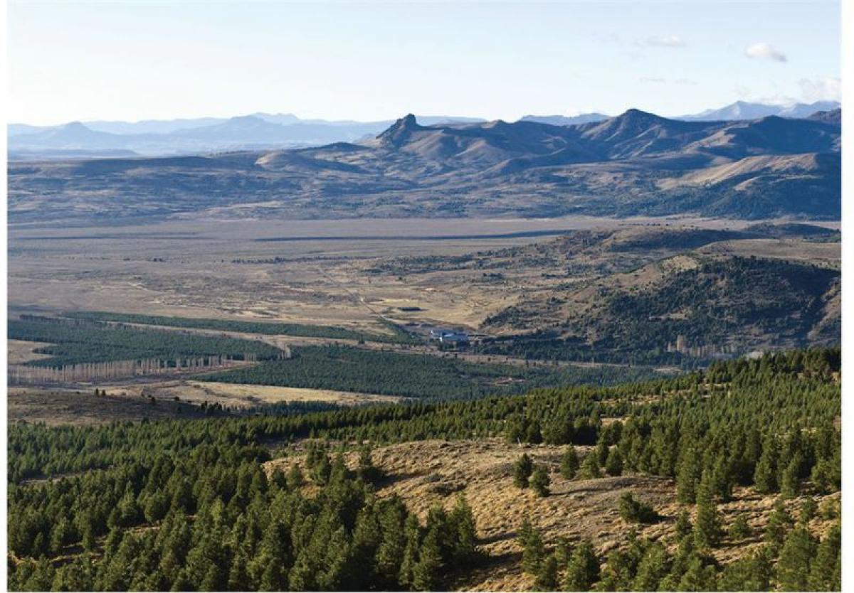  Land in Neuquen, Argentina No. 37348