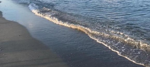 Apartamento de 1 dormitorio en Santa-Lucia-di-Moriani, France No. 263941 8