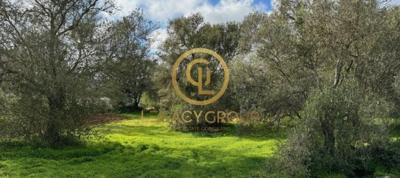 Terreno en Sao Bras de Alportel, Portugal 2432 m² No. 35263 16