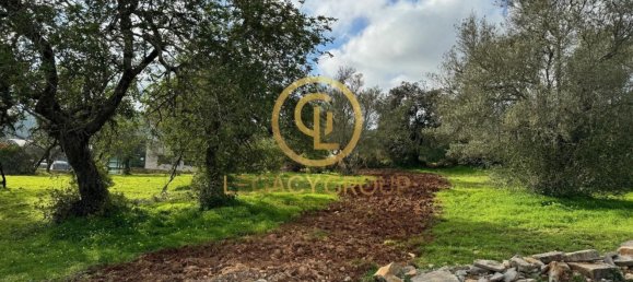 Terreno en Sao Bras de Alportel, Portugal 2432 m² No. 35263 15