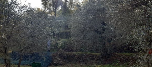 Земельный участок 5000м² в Кавриглия, Италия № 251223 5