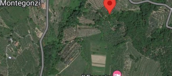 Земельный участок 5000м² в Кавриглия, Италия № 251223 3