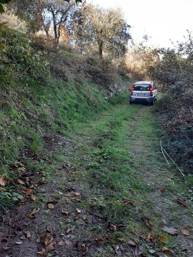 Земельный участок 5000м² в Кавриглия, Италия № 251223