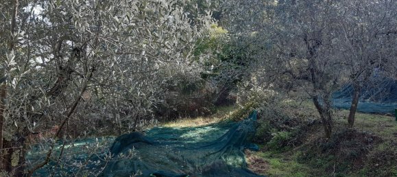 Земельный участок 5000м² в Кавриглия, Италия № 251223 4