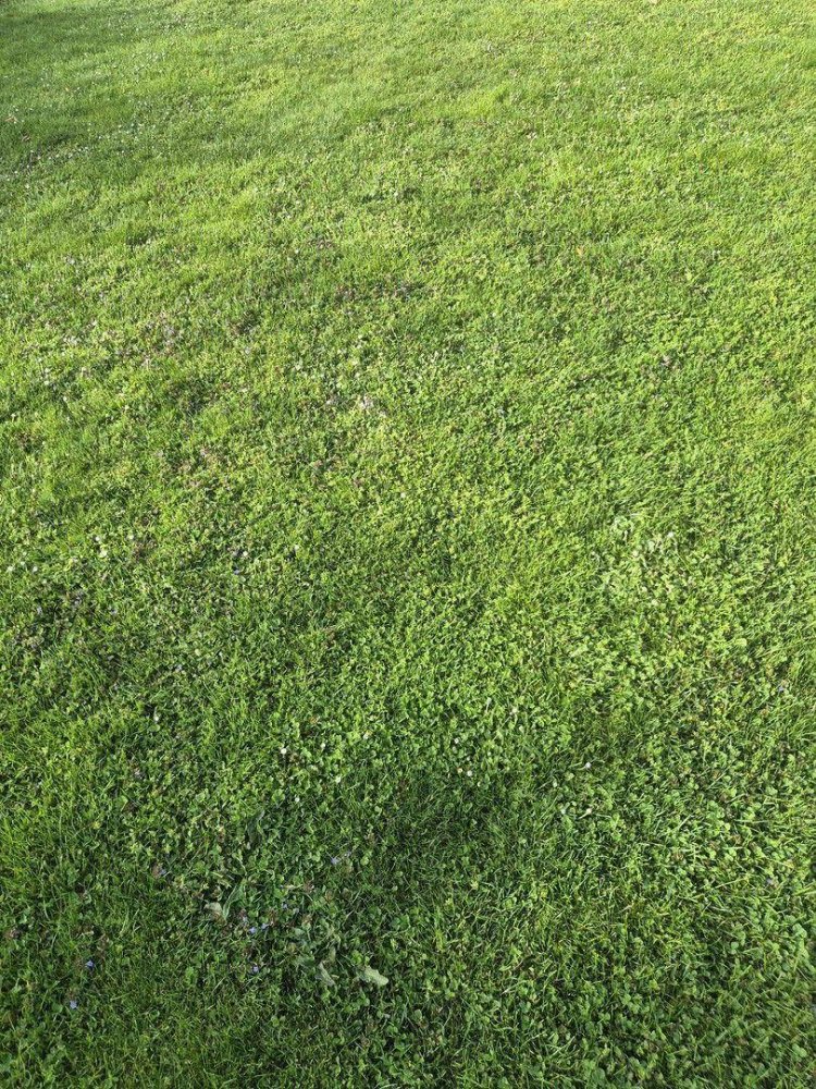  Land in Hollabrunn, Austria No. 232581