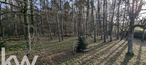 4 bedrooms House in Nesploy, France No. 40364 2