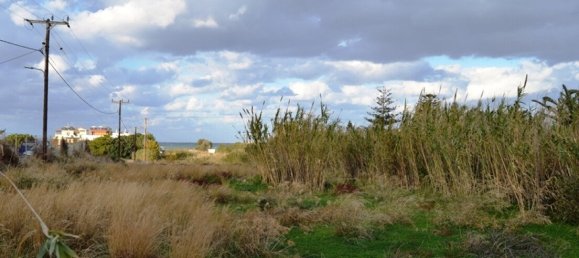 11300m² Hotel in Gazi, Greece No. 5953 2