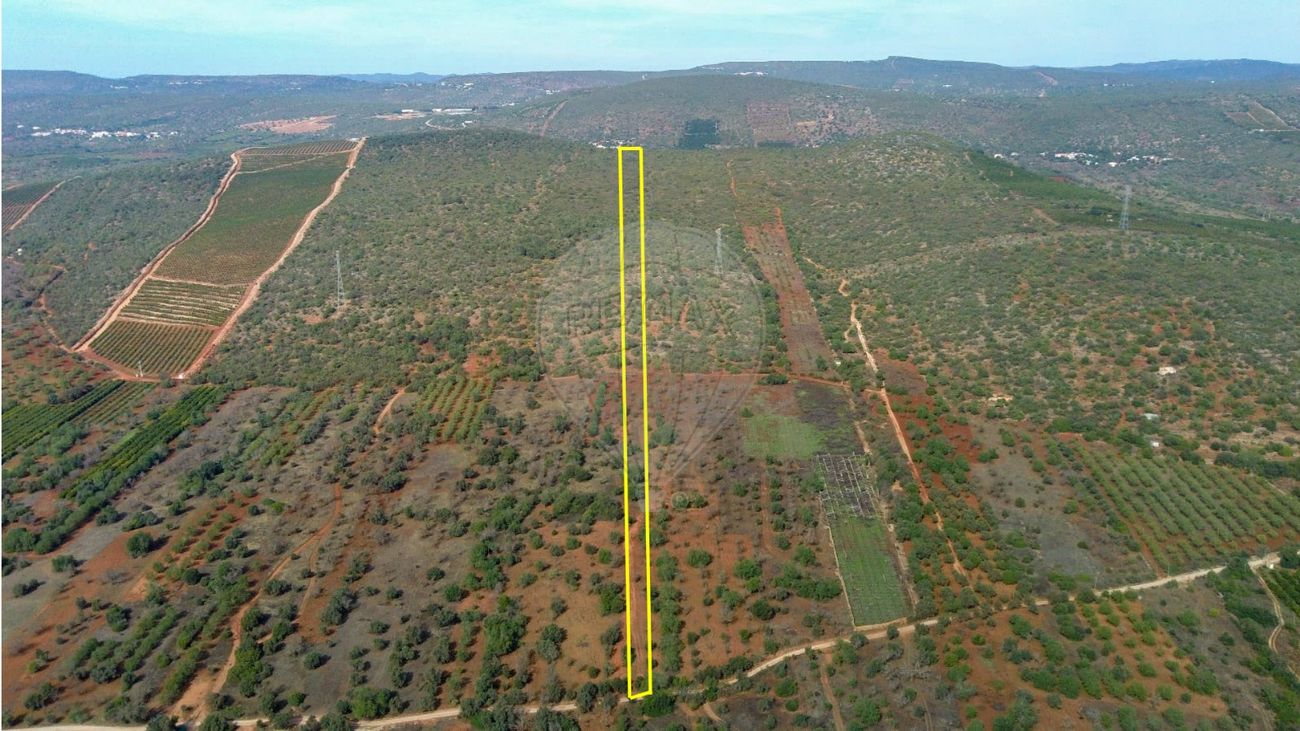 Terrain à Paderne, Portugal 14880m² No. 155623