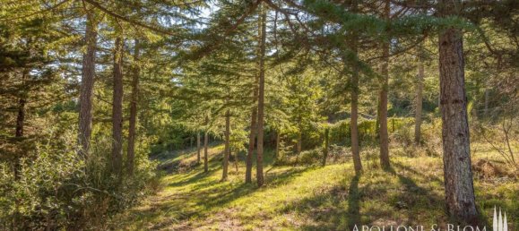 3 غرف نوم منزل في Cetona, Italy رقم 54048 7