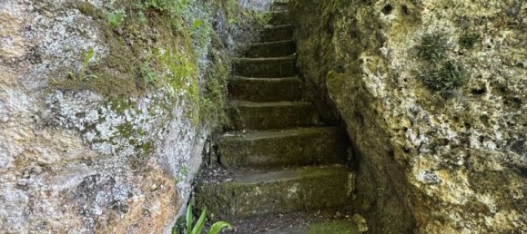 20 bedrooms House in Charente, France No. 334169 15