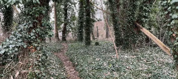 Земельный участок в Верра-Майснер, Германия № 182547 10