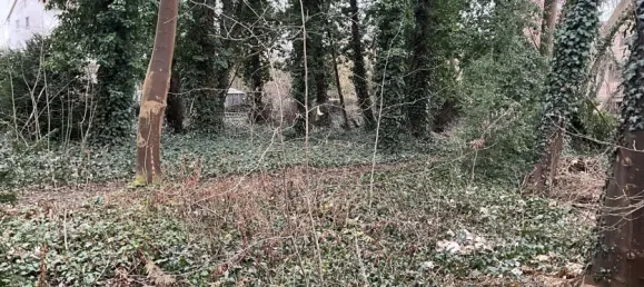 Земельный участок в Верра-Майснер, Германия № 182547 11