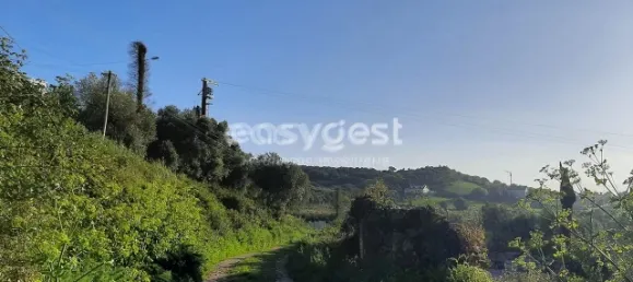 Terrain à Sintra, Portugal 87880m² No. 175890 9