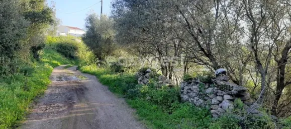Terrain à Sintra, Portugal 87880m² No. 175890 5