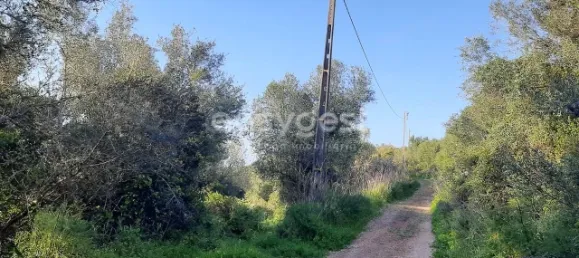 Terrain à Sintra, Portugal 87880m² No. 175890 4
