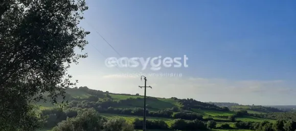 Terrain à Sintra, Portugal 87880m² No. 175890 15