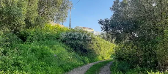 Terrain à Sintra, Portugal 87880m² No. 175890 7