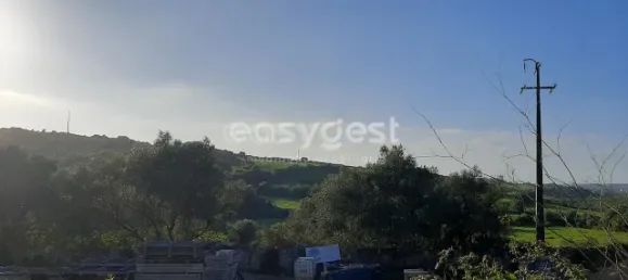 Terrain à Sintra, Portugal 87880m² No. 175890 13