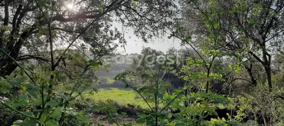 Terrain à Sintra, Portugal 87880m² No. 175890 6