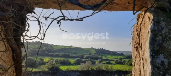 Terrain à Sintra, Portugal 87880m² No. 175890 10