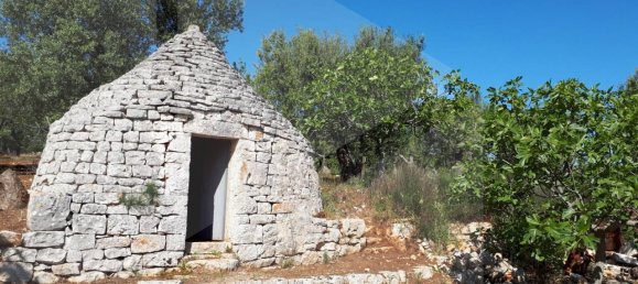 Estudio en Monopoli, Italy No. 24781 9