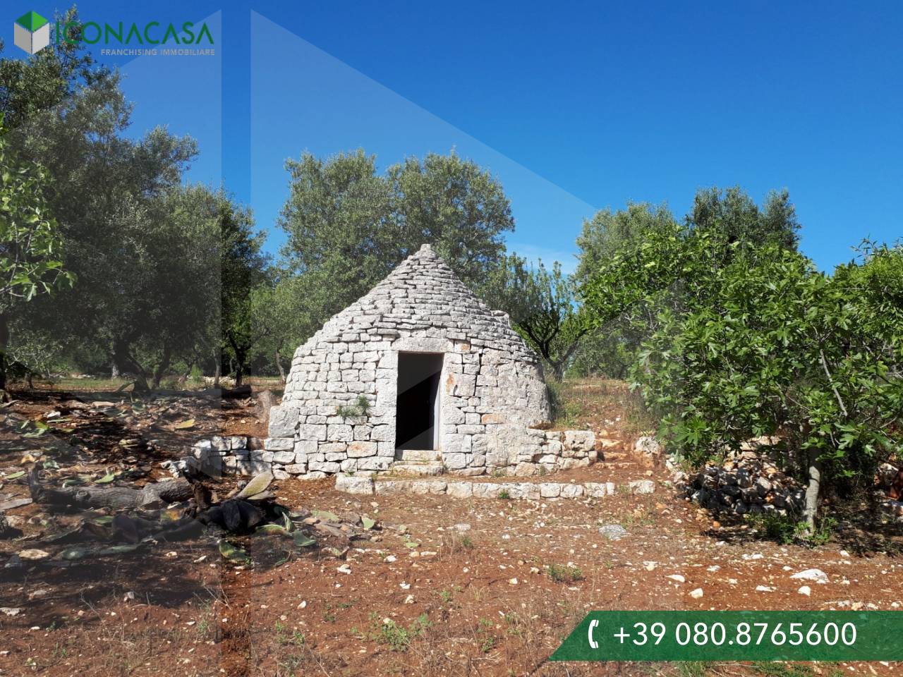 Estudio en Monopoli, Italy No. 24781