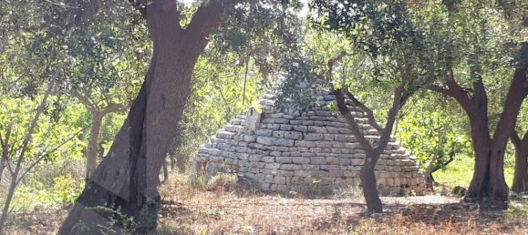 Estudio en Monopoli, Italy No. 24781 4