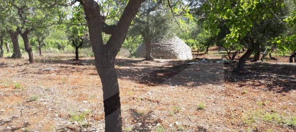 Estudio en Monopoli, Italy No. 24781 7