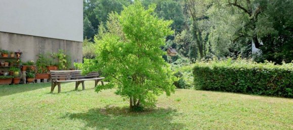 3 rooms Apartment in Tullnerbach, Austria No. 102485 11