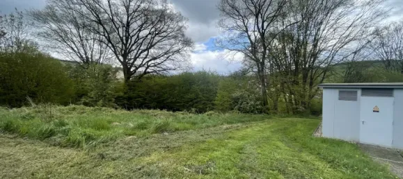  Land in Sankt Wendel, Germany No. 10743 5