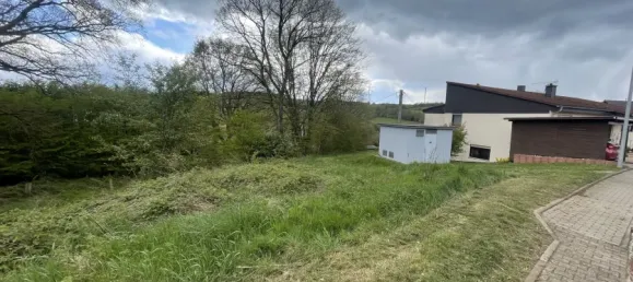  Land in Sankt Wendel, Germany No. 10743 4