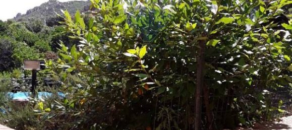 7 chambres Villa à Trinità d'Agultu e Vignola, Italy No. 215596 46