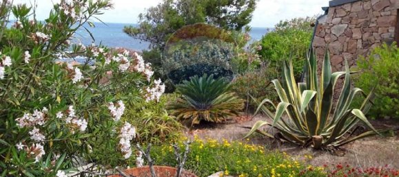 7 chambres Villa à Trinità d'Agultu e Vignola, Italy No. 215596 32