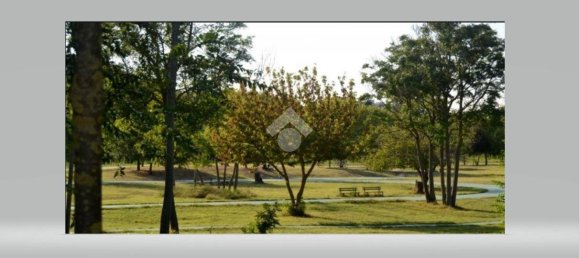 1 Schlafzimmer Wohnung in Rome, Italy, Nr. 311215 3