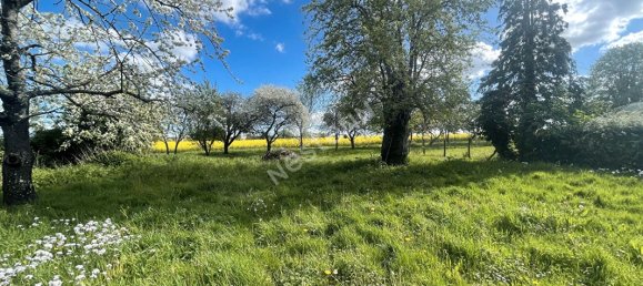3 chambres Maison à Vicq-sur-Nahon, France No. 75667 12