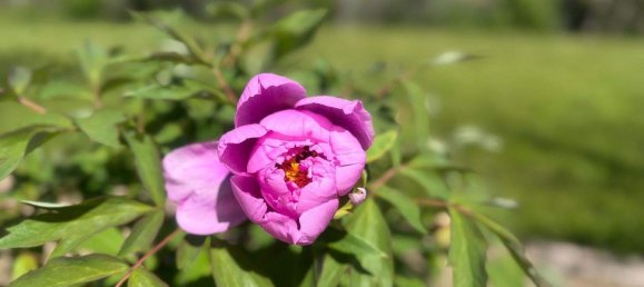 Moradia em banda de 5 divisões em Pinkafeld, Austria N.º 127665 7