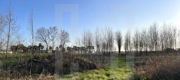 Вилла с 8 комнатами в Сант Анджело ди Пьове ди Сакко, Италия № 60850 19